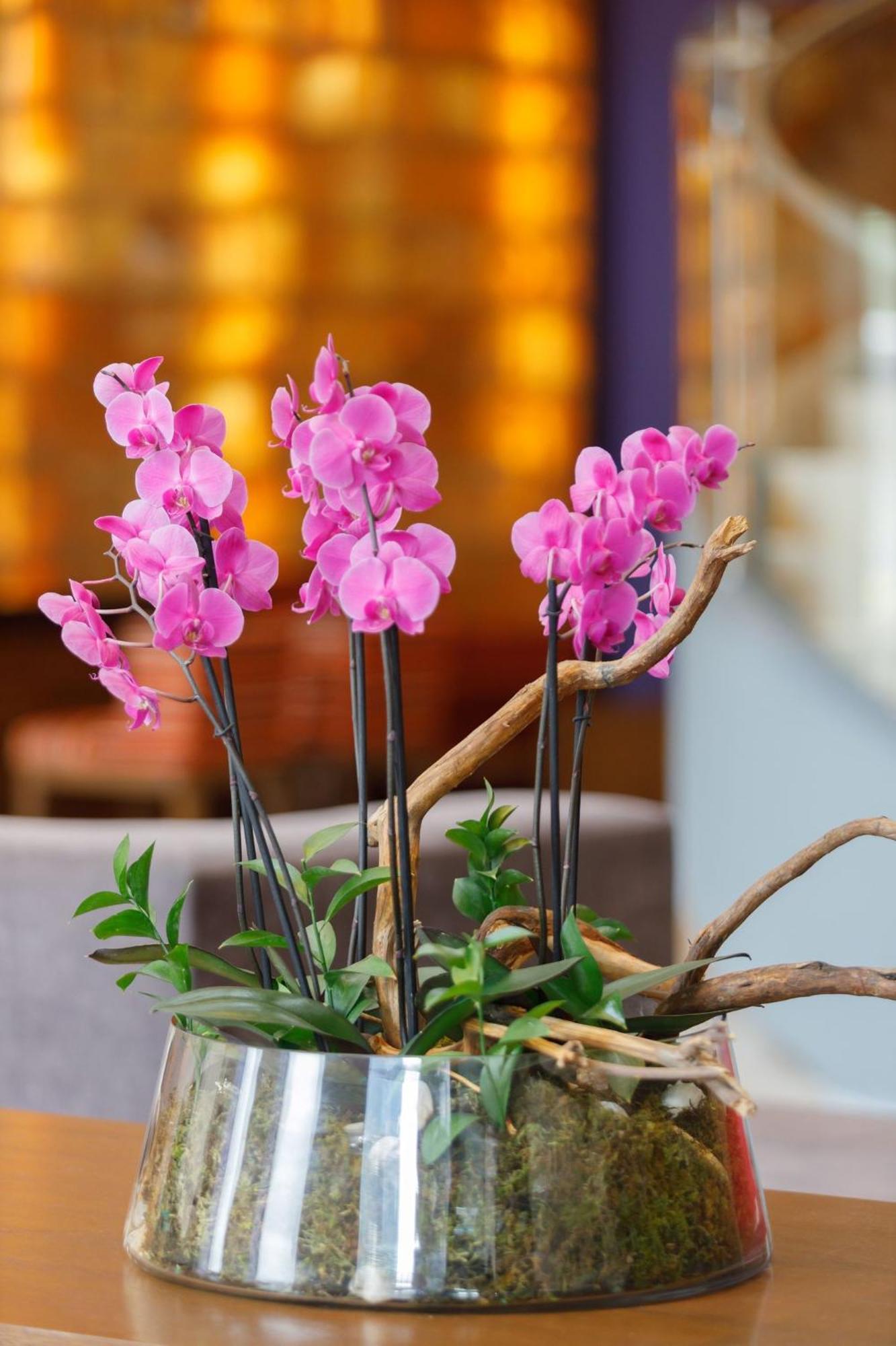 Camino Real Pedregal Mexico Hotel Exterior foto Flower arrangement